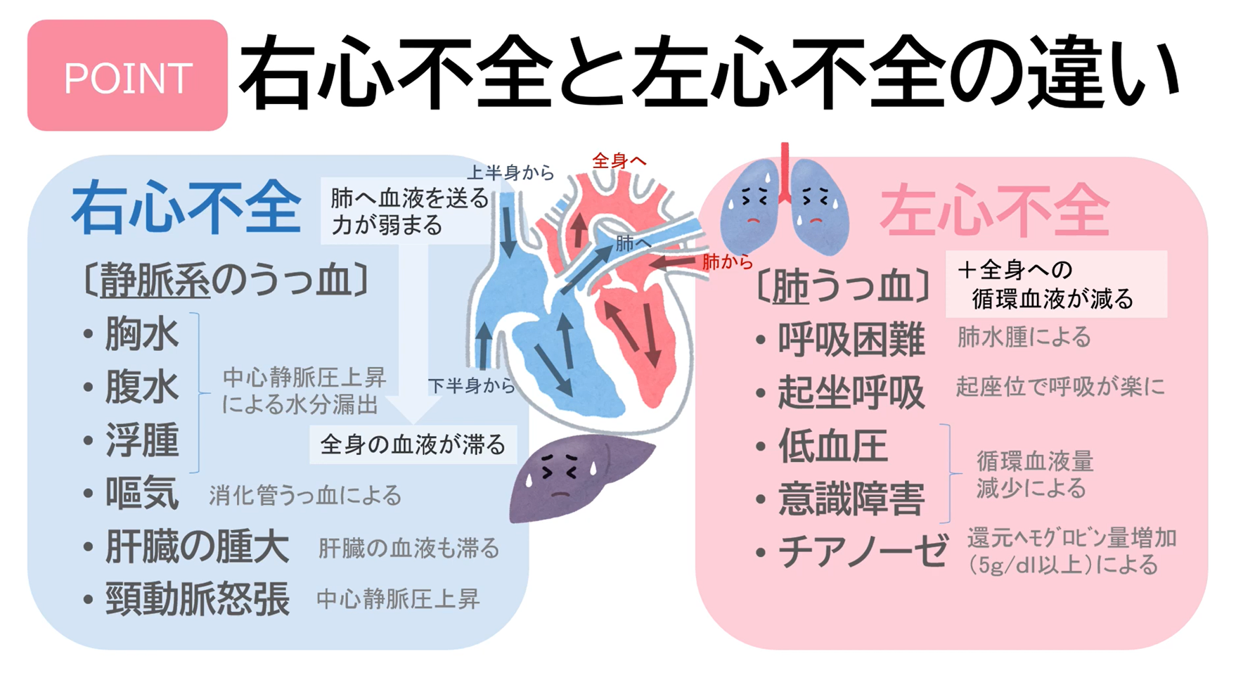 心不全の病態 ヘルスノート