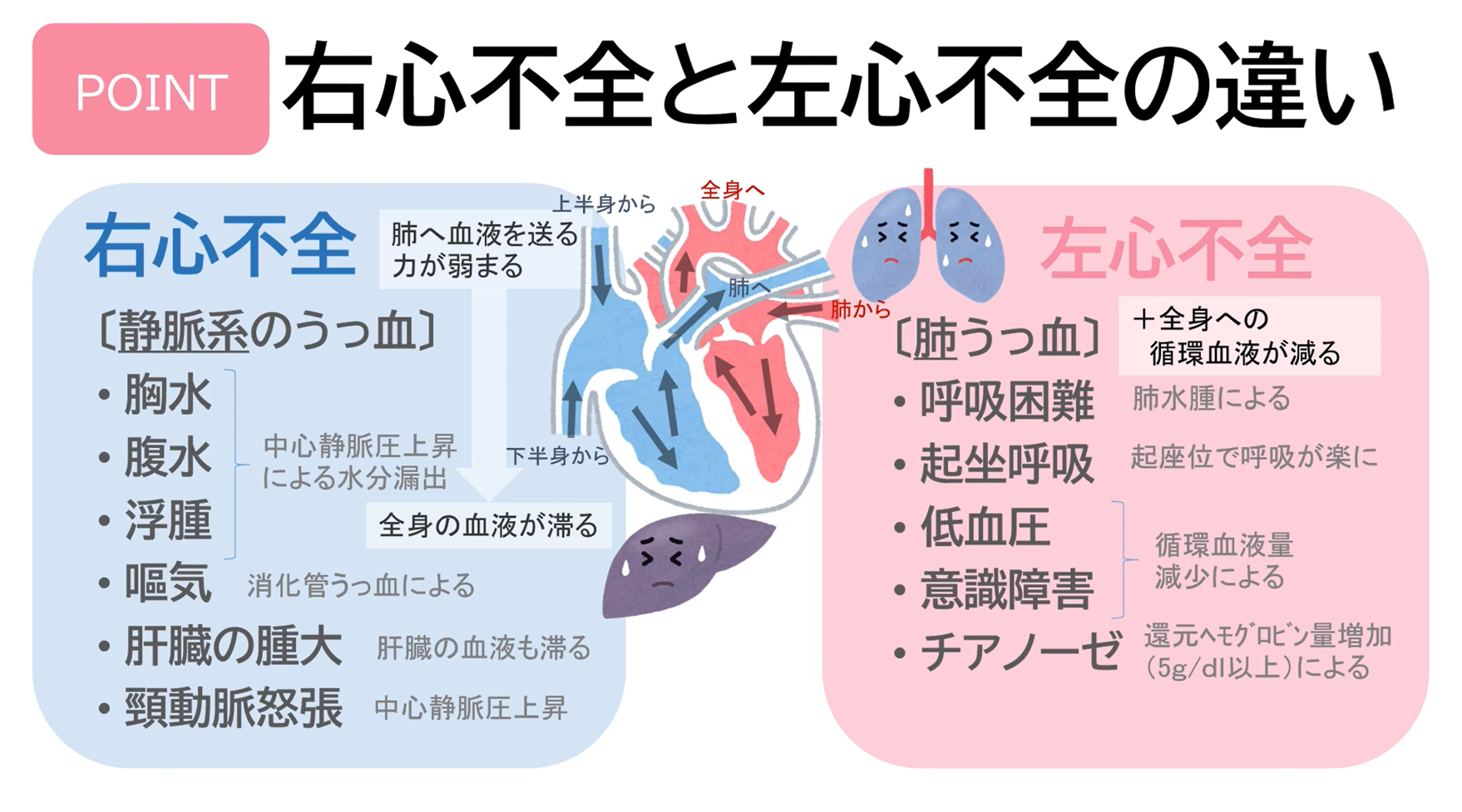 長期的には何が期待できますか?